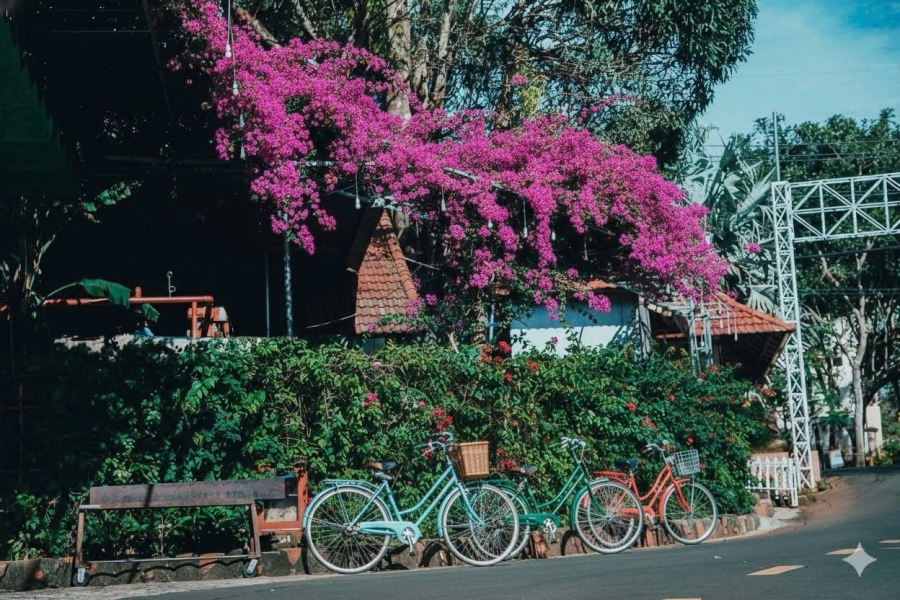 Cảnh Quan Lodge