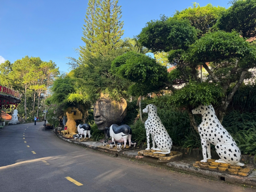 Cảnh Quan Lodge